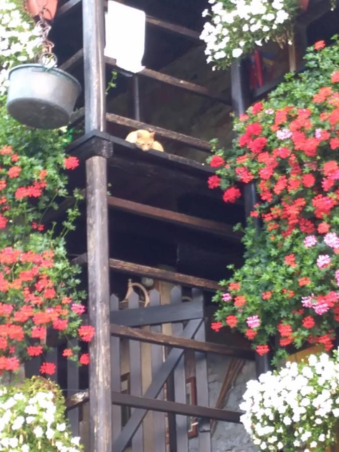 B&B La baita delle coccinelle Varallo Esterno foto