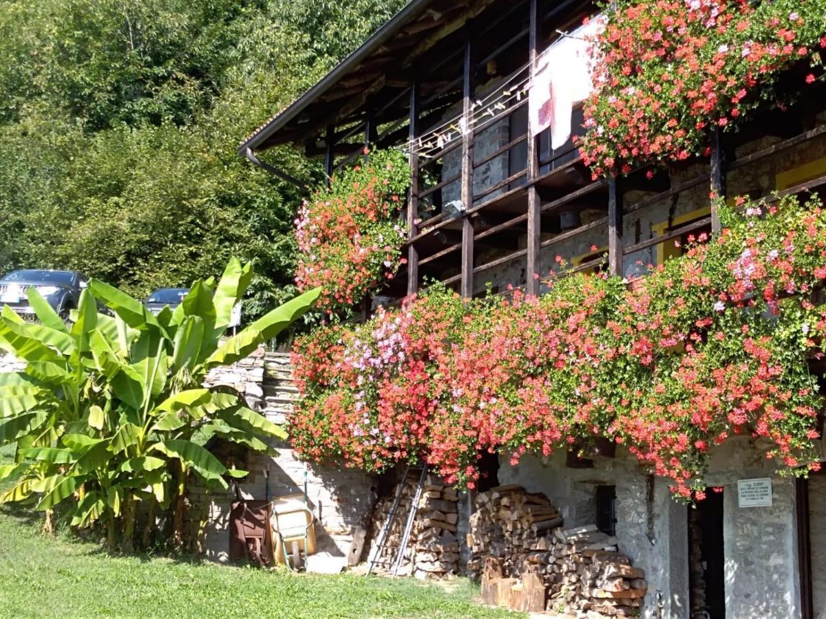 B&B La baita delle coccinelle Varallo Esterno foto